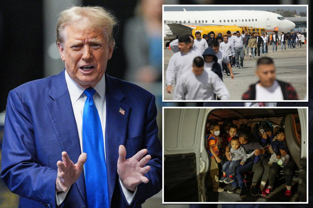 Inside Trump’s plan to deport ‘nearly 20 million’ illegal migrants from the US