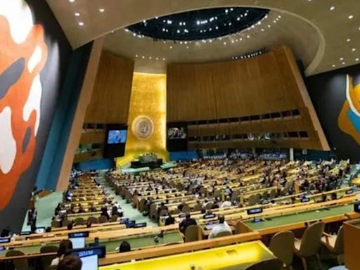 India 'a buzzword' at UNGA79; World leaders back permanent UN Security Council seat for New Delhi