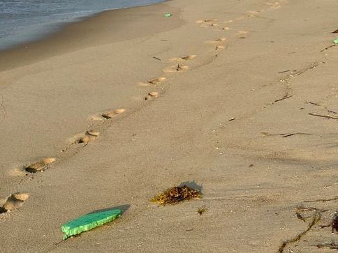 More debris from damaged wind turbine found off the coast of Nantucket, company officials says - The Boston Globe