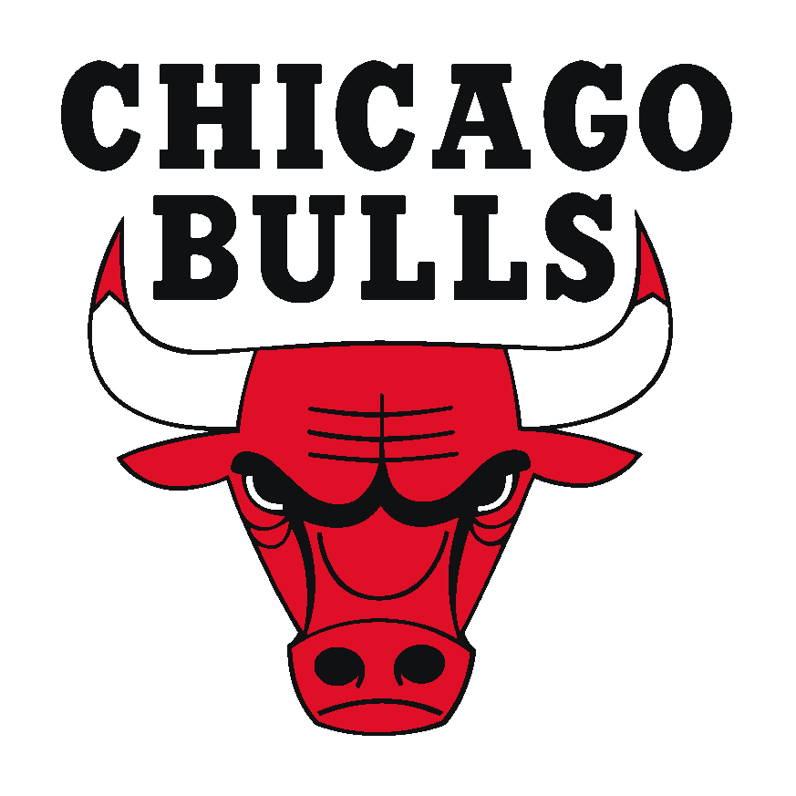 The Chicago Bulls Logo