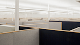 Return to office push is 'totally dead,' experts say, as WFH persists