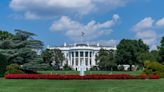 Who are the candidates running in the 2024 US presidential election? - BusinessWorld Online