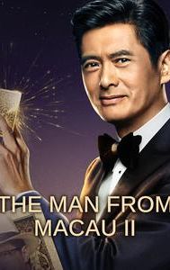 The Man From Macau II