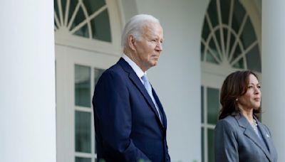 Rahim Mohamed: Joe Biden headed for retirement, Democrats for oblivion