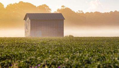 Project aims to help small farms in eastern, central NC