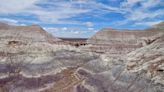 Best things to see and do at Petrified Forest and Painted Desert: A complete guide