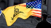 Is This Thing On: The pathology of Don't Tread on Me & NiA Company's 'stinging production'