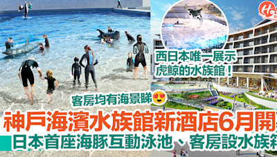 【神戶景點2024】日本神戶海濱水族館新酒店6月開幕！日本首座海豚互動泳池、客房設水族箱！ | HolidaySmart 假期日常