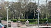 Cerrados por el viento varios parques de la ciudad de Ávila