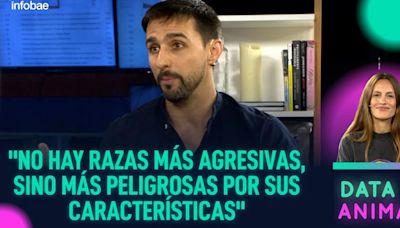 Perros potencialmente peligrosos: la educación y el contexto de crianza influyen más que la genética