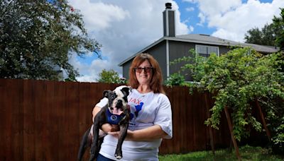 Jax for Prez: Forever foster woman raises money for abused dog's six surgeries (so far)