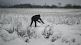 Heavy snowfall in Romania, Bulgaria, and Moldova leaves 1 person dead and many without electricity