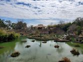 San Antonio Japanese Tea Garden