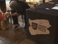 Humane Animal Rescue of Pittsburgh celebrates 150th anniversary at Heinz History Center