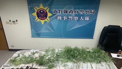 男子上網自學栽種大麻 專業化程度宛如小型植物農場