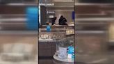 Thieves smash jewelry store in Carolina Place Mall