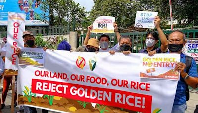 GM Golden Rice in the Philippines Stopped: The Deception of Development and the Politics of Progress