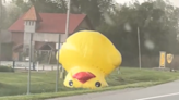 Giant inflatable duck blows across Michigan road during high winds