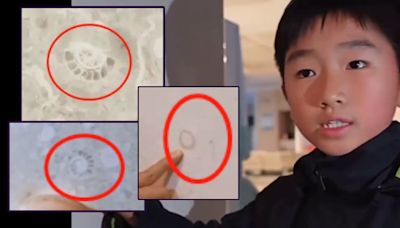 化石滿街｜10歲小學生醫院牆上發現奇特痕跡 竟是「上億年前化石」