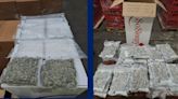 Cannabis worth almost £2 million seized at docks | ITV News