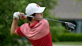 Homestead, Kettle Moraine survive loaded field, advance to the WIAA boys state golf tournament