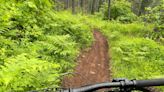 Despite scary name, Dead Mountain offers classic Oregon riding between Eugene and Bend