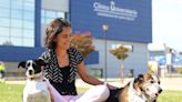 Nuria Máximo, terapeuta ocupacional: “Trabajar con perros supone un chute emocional positivo para los niños ingresados en la UCI”