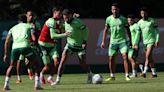 Palmeiras viaja com três desfalques para Criciúma e terá novidade no comando do time