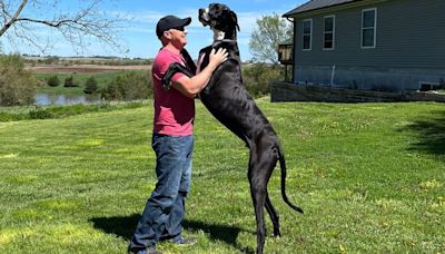 World's tallest dog dies just weeks after receiving Guinness World Record