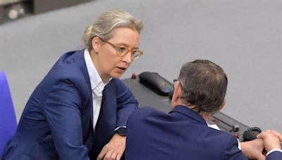 AfD: „Weidel und Chrupalla tragen den Kurs mit - um nicht entsorgt zu werden“