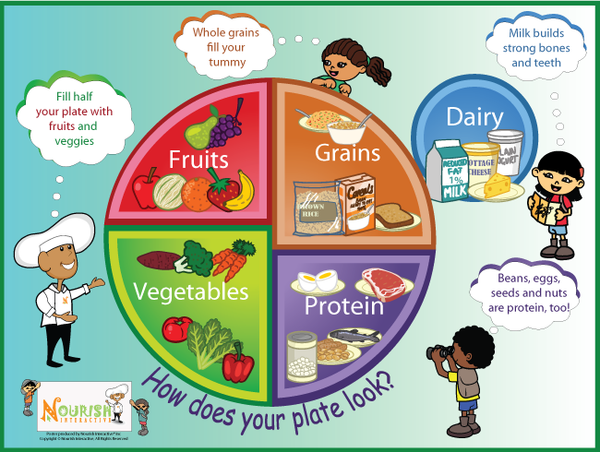 My Plate - Five Food Groups Poster