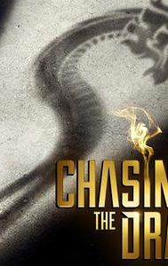 Chasing the Dragon (film)