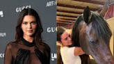 Kendall Jenner’s horse is having a baby via surrogate: ‘What does this mean?’