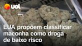 Governo dos EUA propõe reclassificar maconha como droga de baixo risco