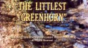 18. The Littlest Greenhorn