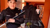 Brigada de Vigilancia Animal rescata a Tucán en la BJ
