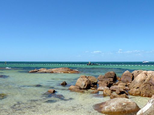 Un joven en estado crítico por un ataque de tiburón en una playa del noreste de Australia