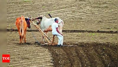 Marathwada farmers pray for rain for kharif crops amid dry spell | Aurangabad News - Times of India