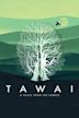 Tawai: A Voice From the Forest