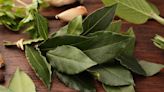 The Absolute Best Times To Use Fresh Bay Leaves In Your Recipes