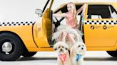 Isaac Mizrahi and Wild One Have Teamed Up to Create a New Line of Super-Stylish Essentials for Your Dog