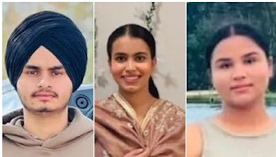 Student Siblings, One Other From Punjab Die In Car Crash In Canada After Vehicle Veers Off Highway - News18