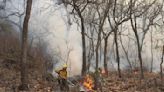 Reserva de biosfera de Morelos amanece con 500 hectáreas siniestradas por incendio