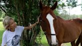 Vicari rescues horses, and wounded souls, at Folsom farm