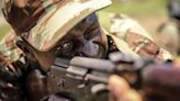La ONG African Parks denuncia cinco empleados y siete militares muertos en un ataque de hombres armados en Benín