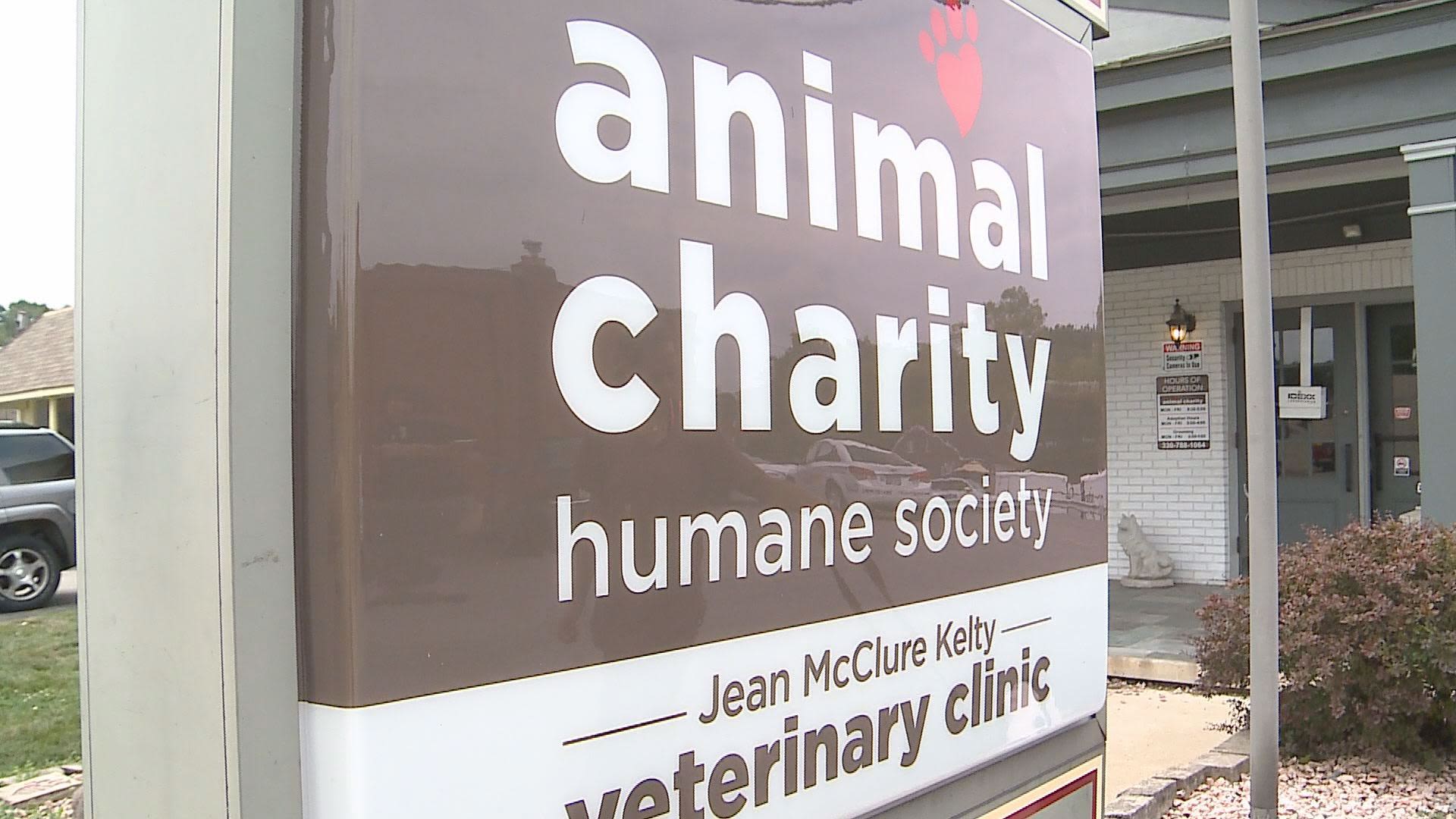 Animal Charity asking for donations for pets affected by Downtown Youngstown explosion