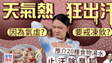 多汗症食療｜天氣熱狂出汗因為氣虛？要戒凍飲？中醫推介20種食物湯水止汗除臭狐