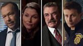 'Blue Bloods': Which Reagan Should Lead Potential Spinoff? (POLL)