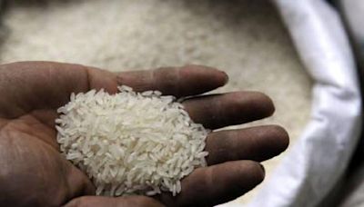 Non-basmati rice bore the brunt of export curbs imposed in 2023