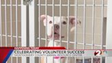 Local animal shelter celebrates success of volunteers
